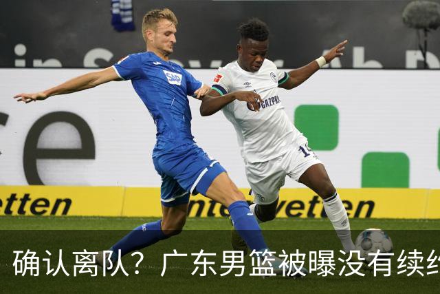 确认离队？广东男篮被曝没有续约杜锋，新主教练人选正式曝光！