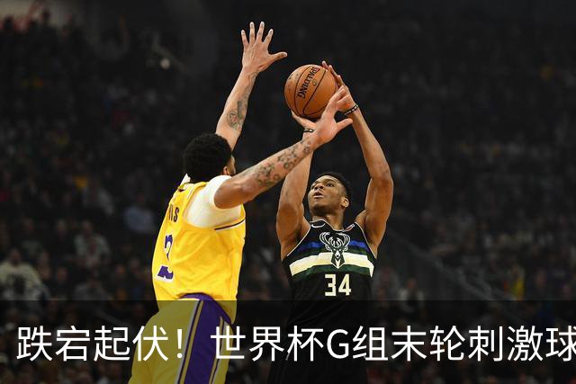 跌宕起伏！世界杯G组末轮刺激球迷心脏 伊朗狂喜过后遭打击